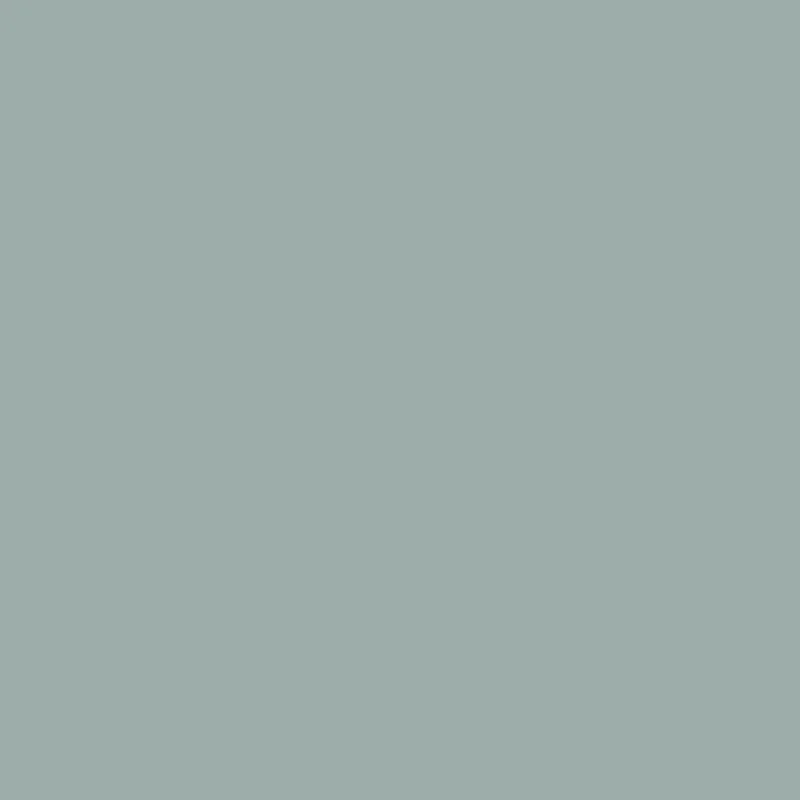 C7004 RAL 7004
